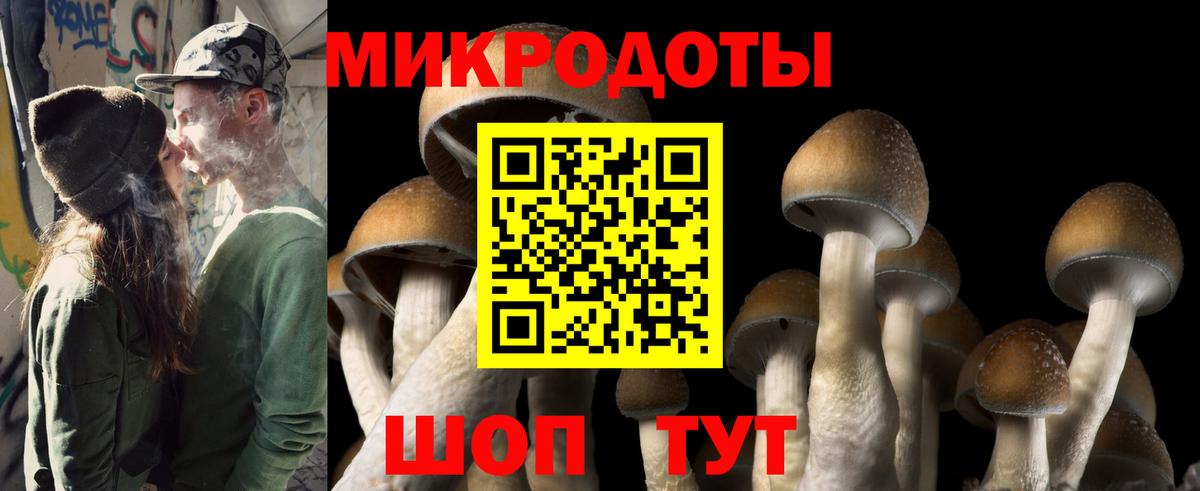 Псилоцибиновые грибы GOLDEN TEACHER Янаул